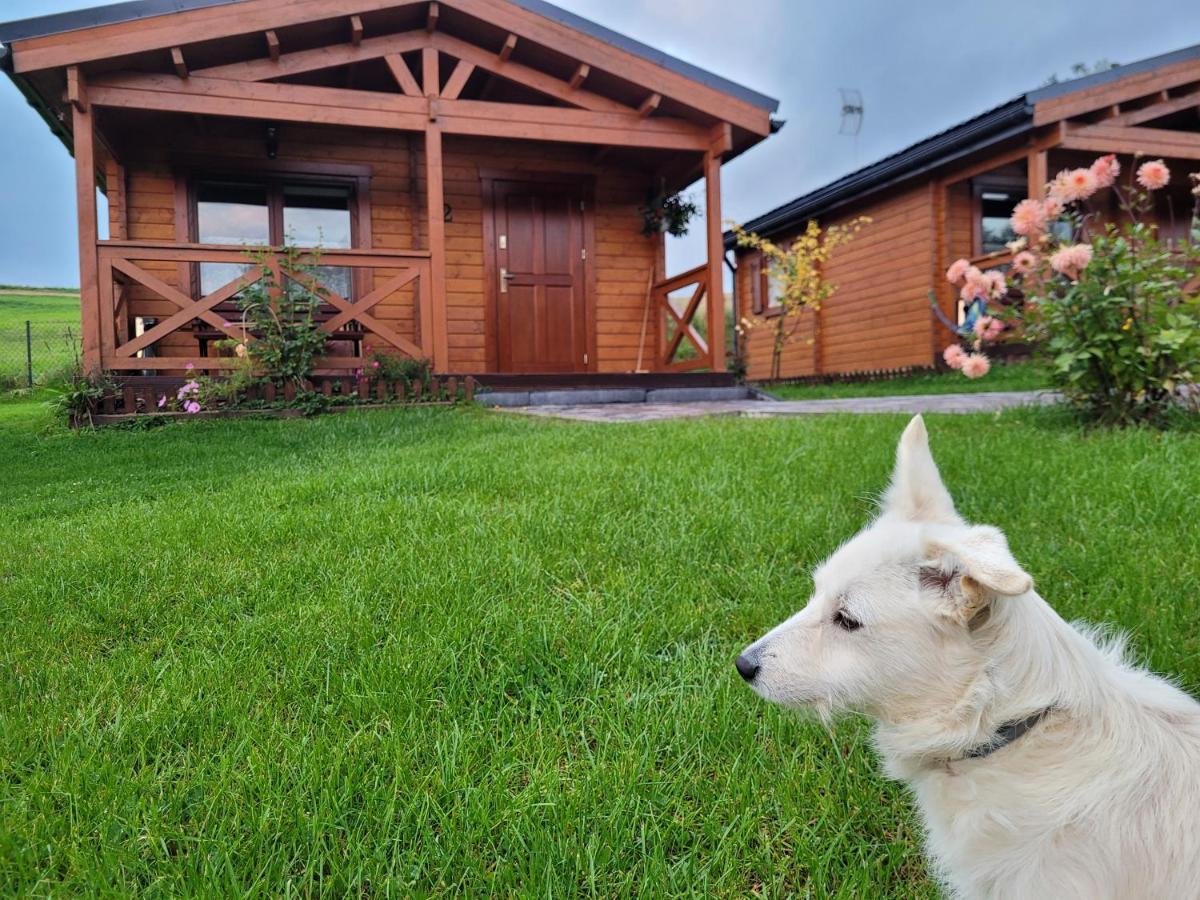Domki Pod Lasem Villa Rokiciny Podhalanskie Buitenkant foto