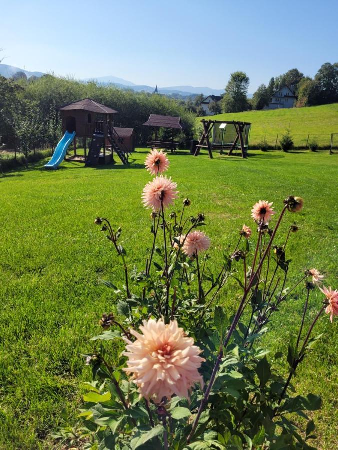 Domki Pod Lasem Villa Rokiciny Podhalanskie Buitenkant foto