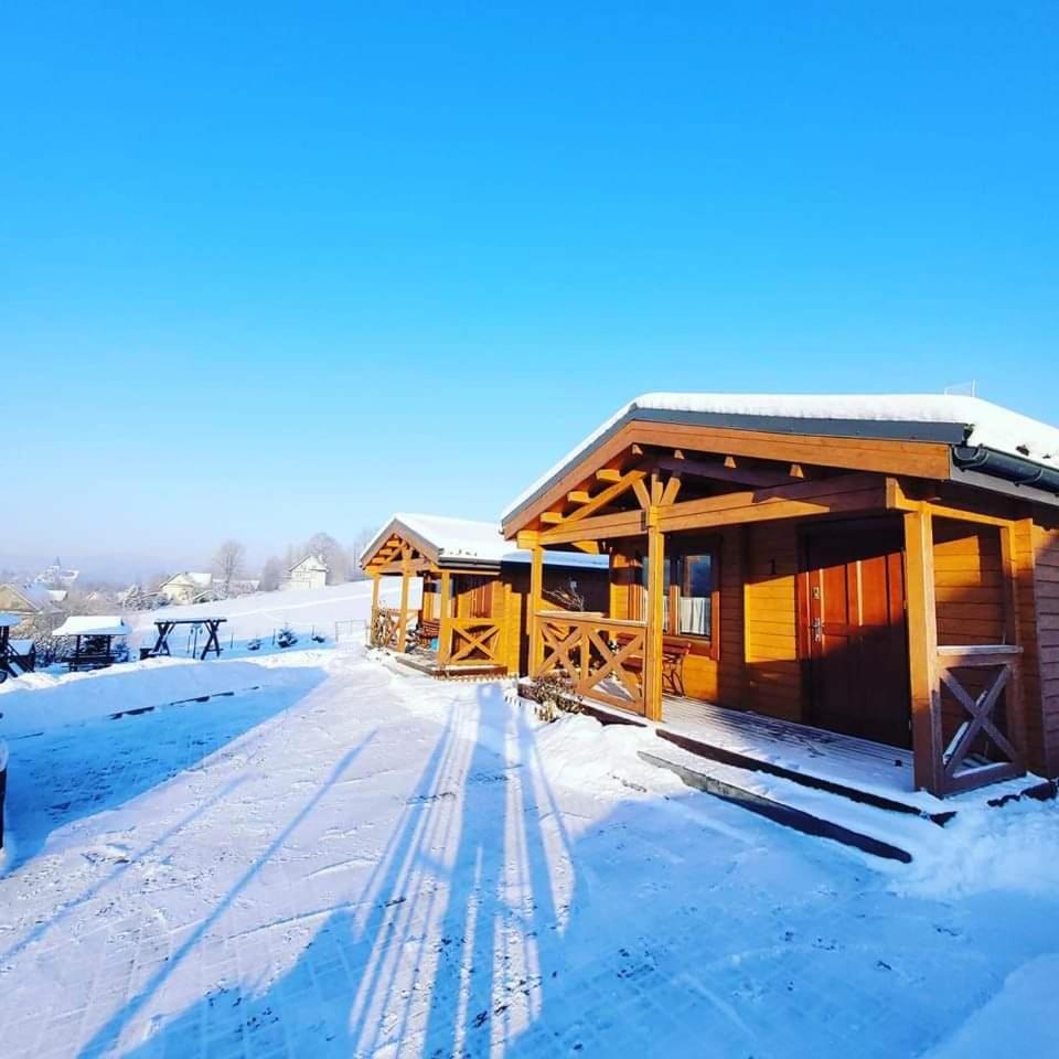 Domki Pod Lasem Villa Rokiciny Podhalanskie Buitenkant foto
