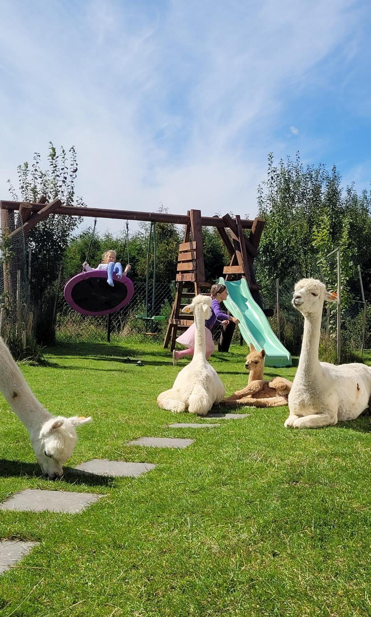 Domki Pod Lasem Villa Rokiciny Podhalanskie Kamer foto