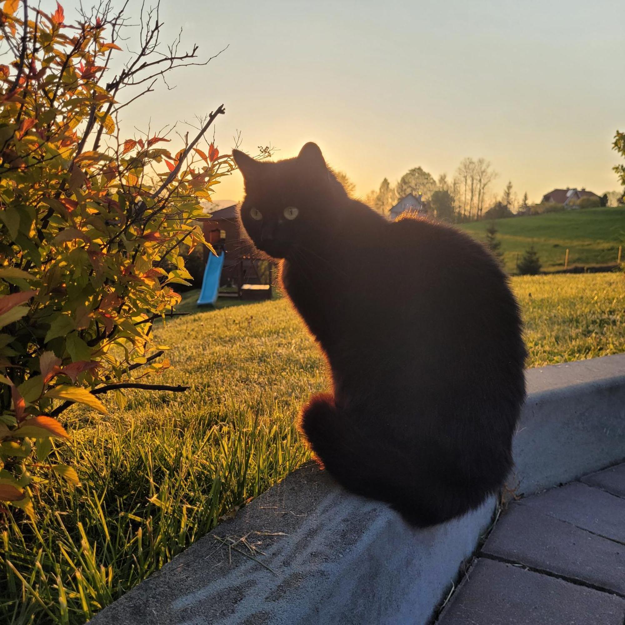 Domki Pod Lasem Villa Rokiciny Podhalanskie Buitenkant foto