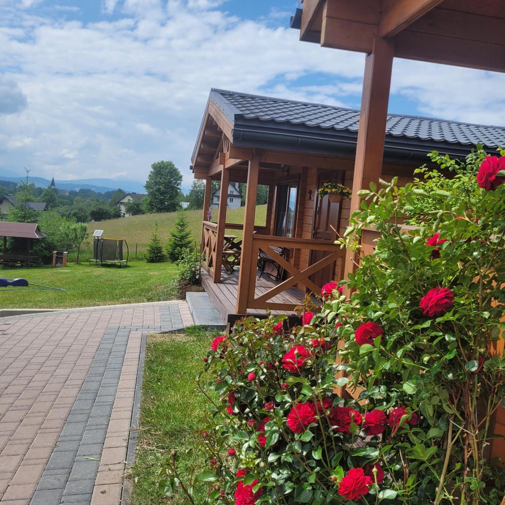 Domki Pod Lasem Villa Rokiciny Podhalanskie Buitenkant foto