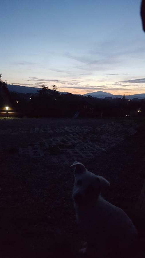 Domki Pod Lasem Villa Rokiciny Podhalanskie Buitenkant foto