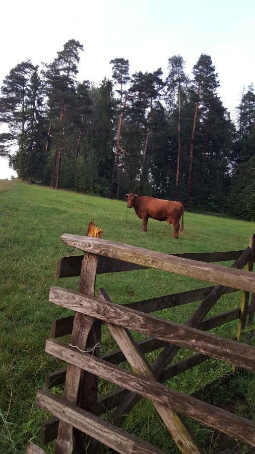 Domki Pod Lasem Villa Rokiciny Podhalanskie Buitenkant foto